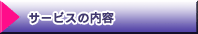 �T�[�r�X�̓��e
